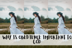 What Does It Mean That Jesus Learned Obedience