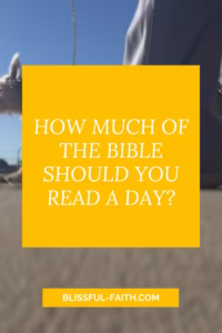 how much bible should you read a day